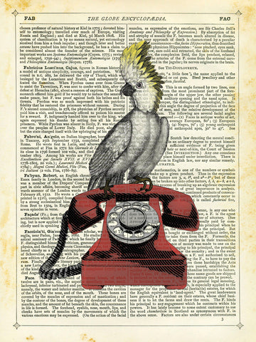 Cocatoo on Telephone -  Marion McConaghie - McGaw Graphics