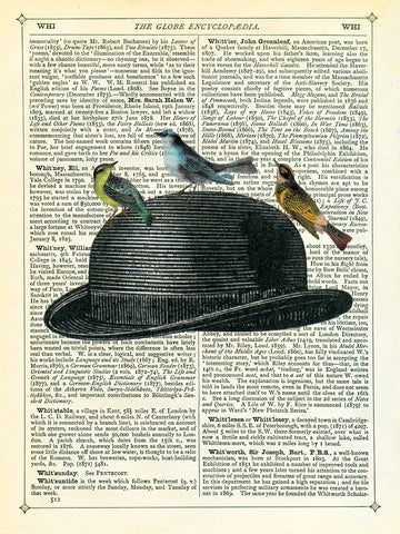 Bowler Hat with Birds -  Marion McConaghie - McGaw Graphics