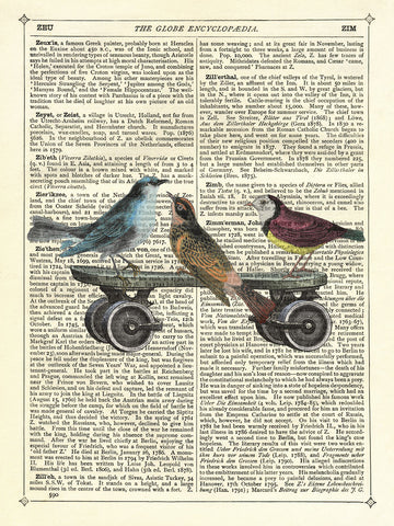 Birds on a Skateboard -  Marion McConaghie - McGaw Graphics