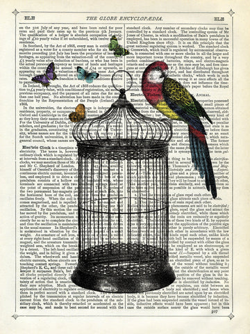 Bird Cage and Parrot -  Marion McConaghie - McGaw Graphics
