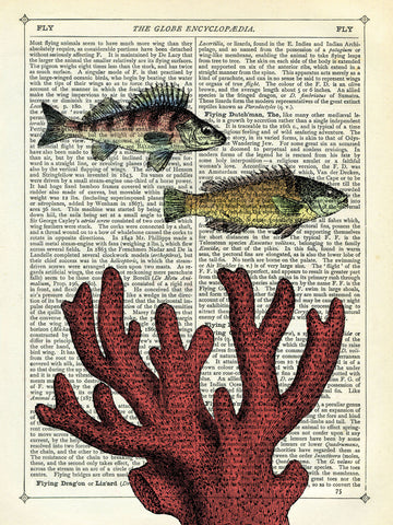 Two Fish with Coral -  Marion McConaghie - McGaw Graphics