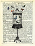 Bird Cage & Butterflies -  Marion McConaghie - McGaw Graphics