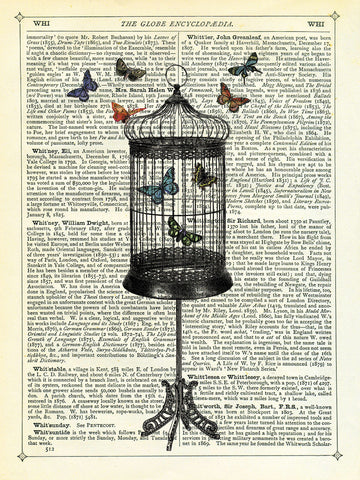 Bird Cage & Butterflies -  Marion McConaghie - McGaw Graphics