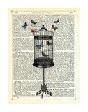 Bird Cage & Butterflies -  Marion McConaghie - McGaw Graphics
