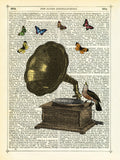 Gramophone, Bird & Butterflies -  Marion McConaghie - McGaw Graphics