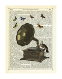 Gramophone, Bird & Butterflies -  Marion McConaghie - McGaw Graphics