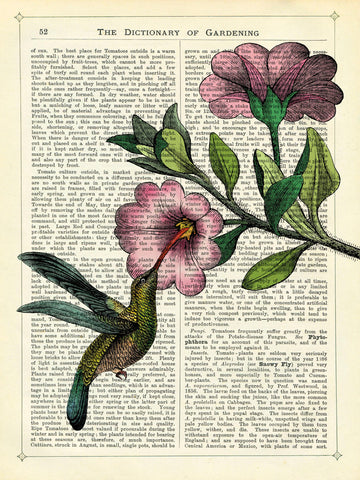 Hummingbird & Flower -  Marion McConaghie - McGaw Graphics