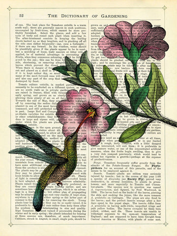 Hummingbird & Flower -  Marion McConaghie - McGaw Graphics