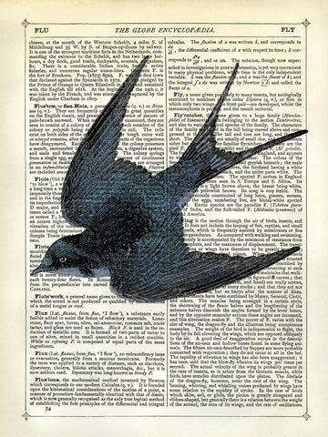 Blue Bird -  Marion McConaghie - McGaw Graphics
