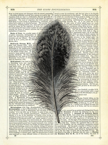 Feather -  Marion McConaghie - McGaw Graphics