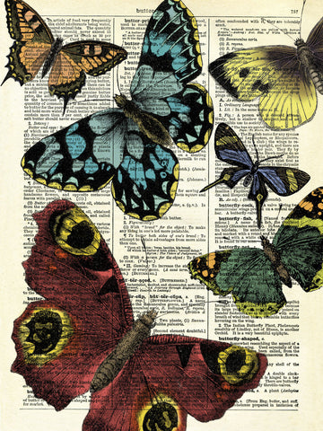 Selection of Butterflies -  Marion McConaghie - McGaw Graphics