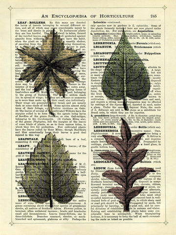 Set of 4 Leaves -  Marion McConaghie - McGaw Graphics