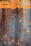 Orange Splash -  J. McKenzie - McGaw Graphics
