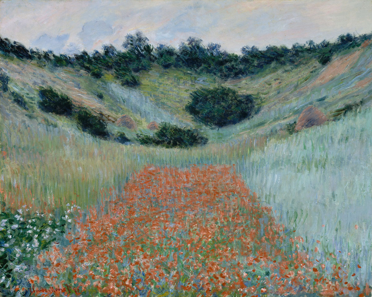 Poppy Field Art