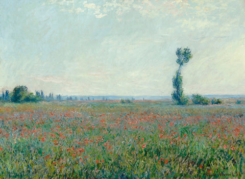 Poppy Field, 1881 -  Claude Monet - McGaw Graphics