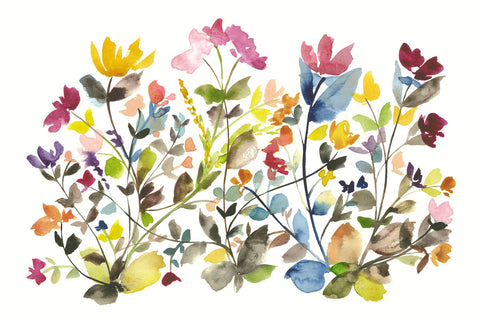 High Country Wildflowers N. 3 -  Kiana Mosley - McGaw Graphics