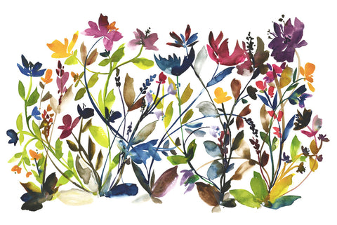 High Country Wildflowers -  Kiana Mosley - McGaw Graphics