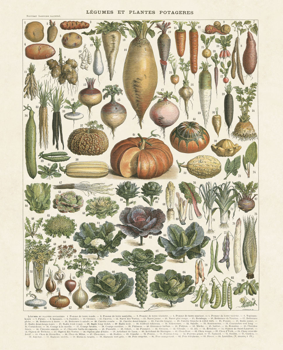 Legumes II, image size:971x1200