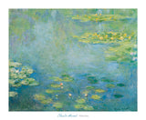 Waterlilies, ca. 1906 -  Claude Monet - McGaw Graphics