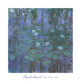 Blue Water Lilies, 1916-1919 -  Claude Monet - McGaw Graphics