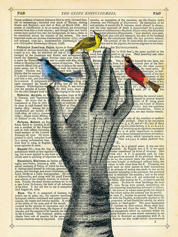 Bird in the Hand -  Marion McConaghie - McGaw Graphics