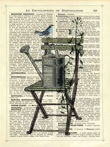 Gardener’s Chair -  Marion McConaghie - McGaw Graphics