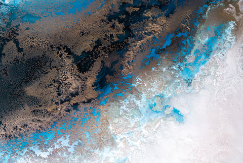 Aerial Reef -  Petra Meikle de Vlas - McGaw Graphics