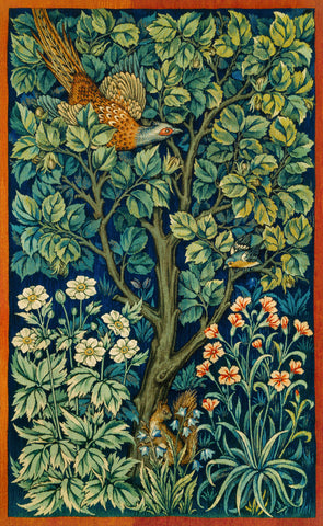 Cock Pheasant, 1916 -  William Morris - McGaw Graphics