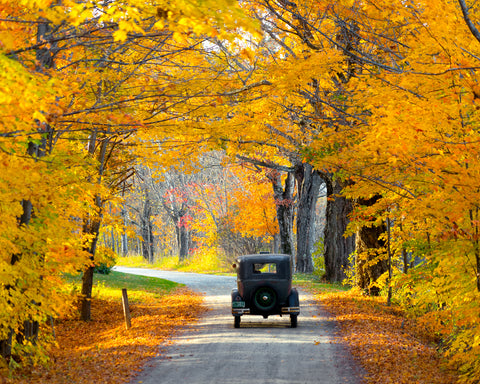 Heading Down the Road -  Orah Moore - McGaw Graphics