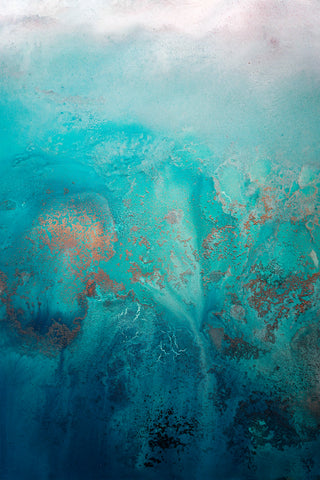 Shimmering Reef 2 -  Petra Meikle de Vlas - McGaw Graphics