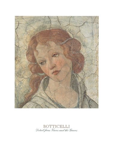 Detail: Venus and the Three Graces II -  Sandro Botticelli - McGaw Graphics
