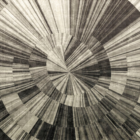 Silver Swirl -  Mali Nave - McGaw Graphics
