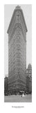 Flatiron Building -  NY Buildings - McGaw Graphics