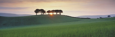 Somerset Sunrise -  David Noton - McGaw Graphics