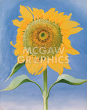 Sunflower, New Mexico, 1935 -  Georgia O'Keeffe - McGaw Graphics