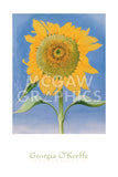 Sunflower, New Mexico, 1935 -  Georgia O'Keeffe - McGaw Graphics