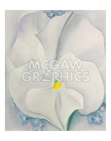 White Pansy, 1927 -  Georgia O'Keeffe - McGaw Graphics