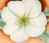 White Flower on Red Earth, No. 1, 1946 -  Georgia O'Keeffe - McGaw Graphics