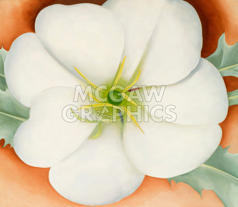 White Flower on Red Earth, No. 1, 1946 -  Georgia O'Keeffe - McGaw Graphics