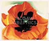 Poppy, 1927 -  Georgia O'Keeffe - McGaw Graphics