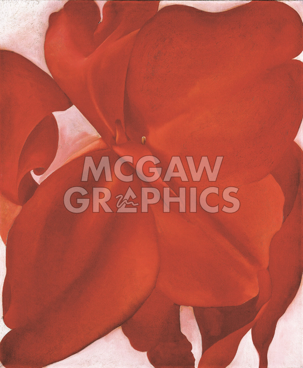 Red Cannas, 1927 | McGaw Graphics