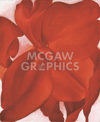 Red Cannas, 1927 -  Georgia O'Keeffe - McGaw Graphics