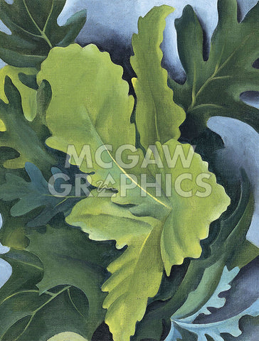 Green Oak Leaves, 1923 -  Georgia O'Keeffe - McGaw Graphics