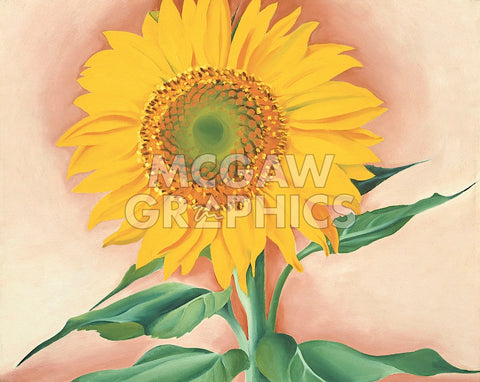 A Sunflower from Maggie, 1937 -  Georgia O'Keeffe - McGaw Graphics