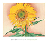 A Sunflower from Maggie, 1937 -  Georgia O'Keeffe - McGaw Graphics