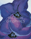 Purple Petunias, 1925 -  Georgia O'Keeffe - McGaw Graphics