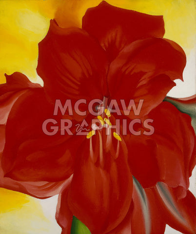 Red Amaryllis, 1937 -  Georgia O'Keeffe - McGaw Graphics