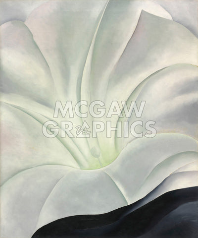 Morning Glory with Black, 1926 -  Georgia O'Keeffe - McGaw Graphics