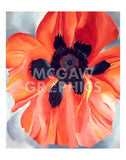 Red Poppy, No. VI, 1928 -  Georgia O'Keeffe - McGaw Graphics