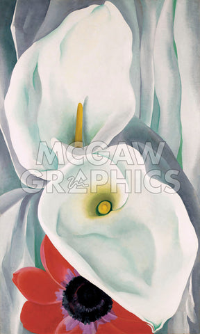 georgia o keeffe white calla lily Calla Lilies with Red Anemone, 1928